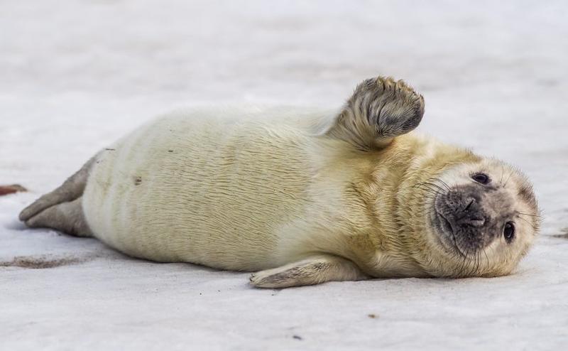 Lokalne atrakcje i parkingi