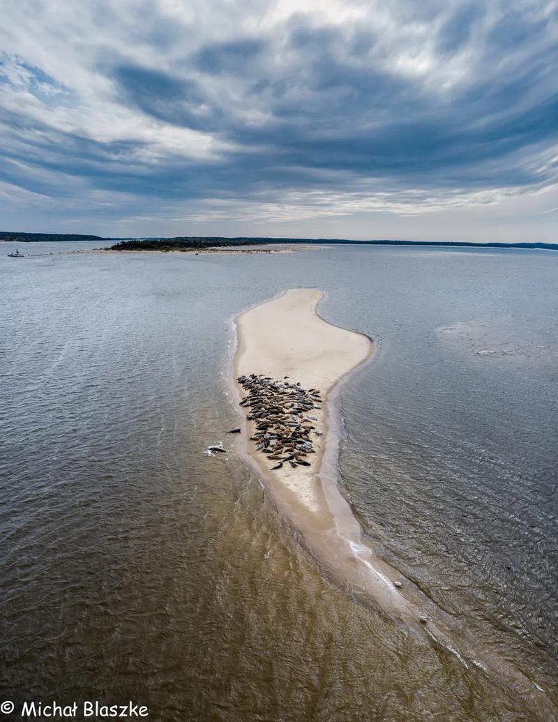 Parking przy Mewiej Łasze