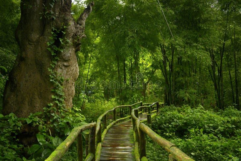 Podróż do Tajlandii