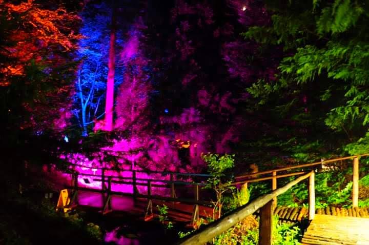 Rośliny Lądek Zdrój