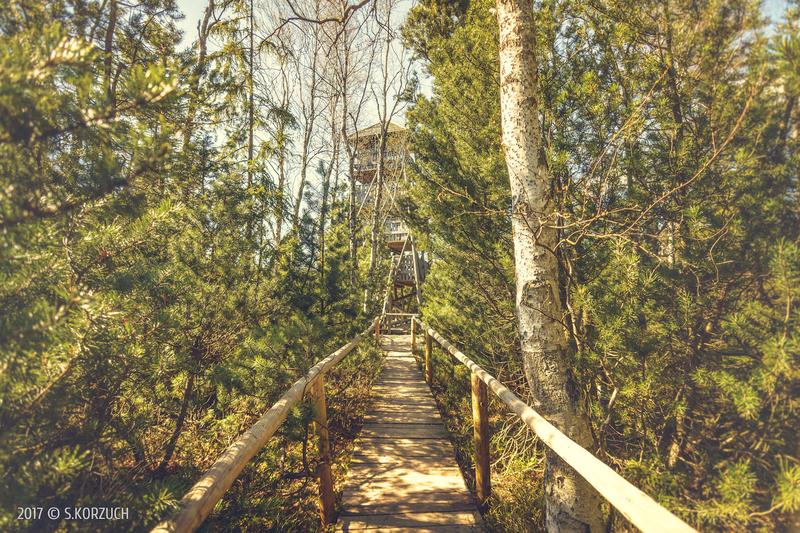 Tajemnice natury w Polsce