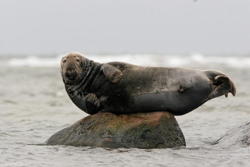 Bezpieczeństwo na wodzie