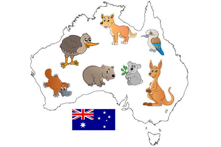 Planowanie podróży do Australii