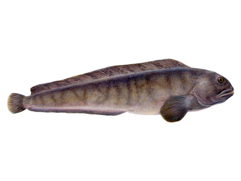 Umiejętności żeglarskie