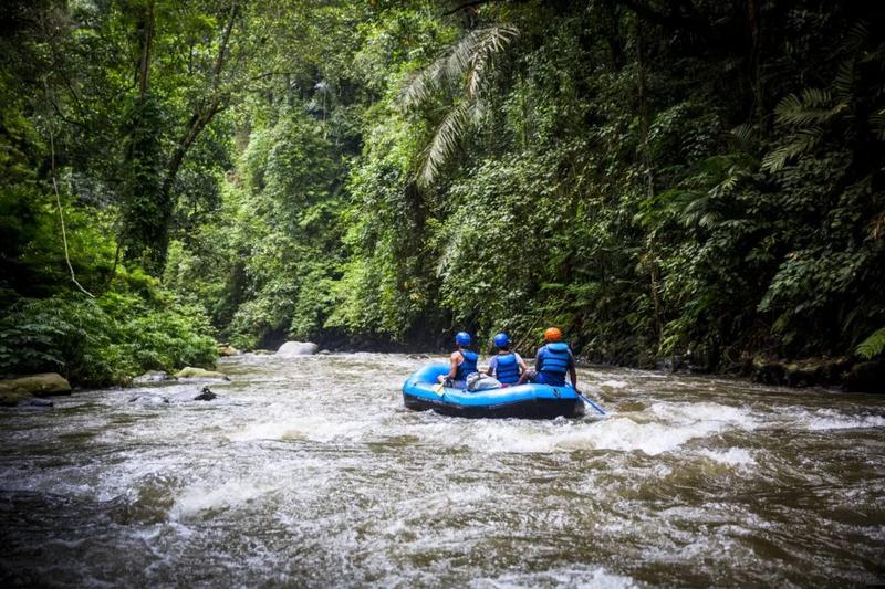 Bezpieczne schronienia na Bali
