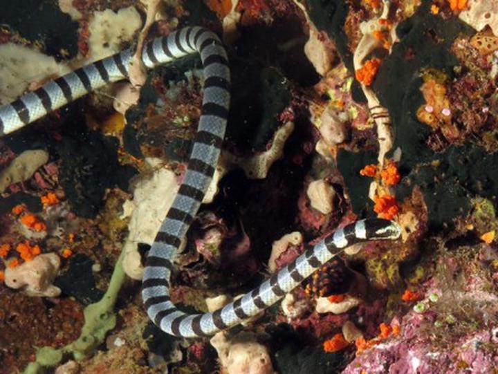 Fotografia podróżnicza na Bali