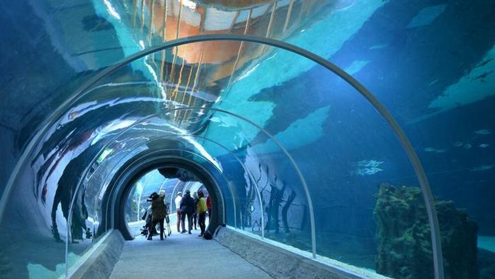 Przygoda na świeżym powietrzu Łódzkie