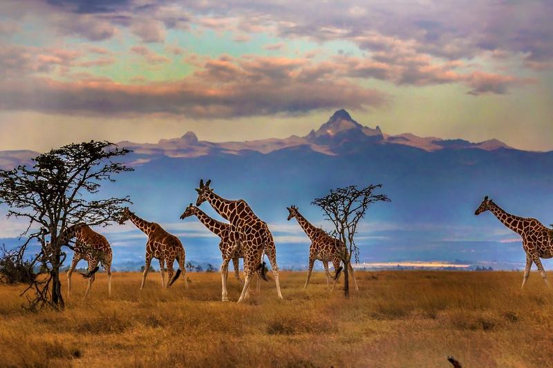 Ile trwa lot do Kenii z Katowic? Odkryj sekrety podróży do Afryki!