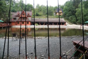 Najlepsze smażalnie ryb na Śląsku – gdzie zjesz najpyszniejszą rybę?