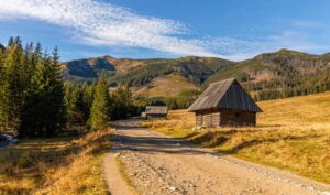 Zimowe szaleństwo w Dolinie Chochołowskiej: Przeżyj niezapomniany kulig!