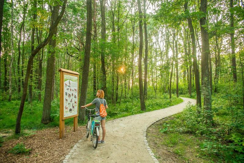 Dolina Trzech Stawów Katowice