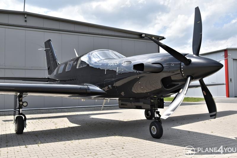 Historia pieprzu i jego ewolucja