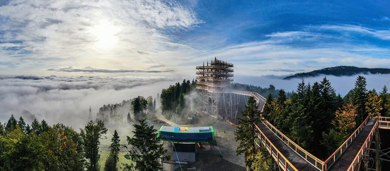 Zimowe szaleństwo w Krynicy-Zdroju: odkryj najlepsze noclegi blisko stoku
