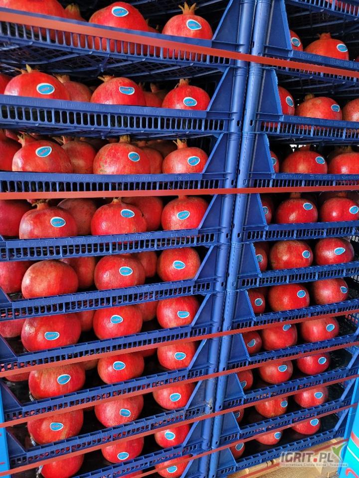 Porady dla podróżnych do Turcji