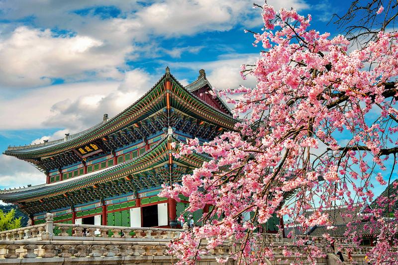 Jak znaleźć najtańsze loty do Korei