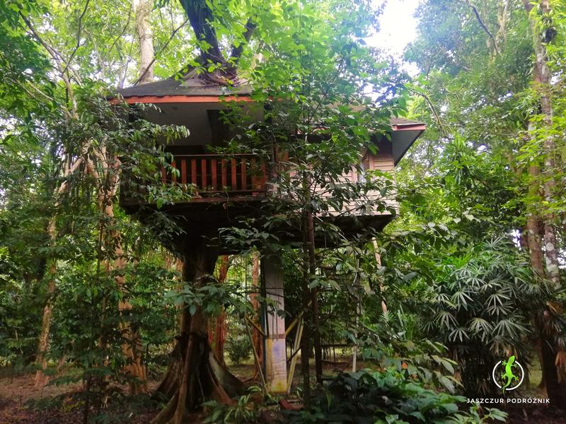 Zachowanie zwierząt w ekosystemie