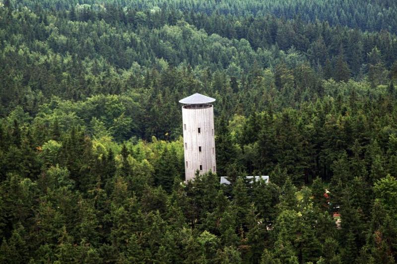 Flora i fauna Góry Borówkowej