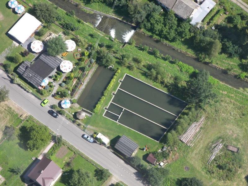 Gatunki ryb w Moszczance