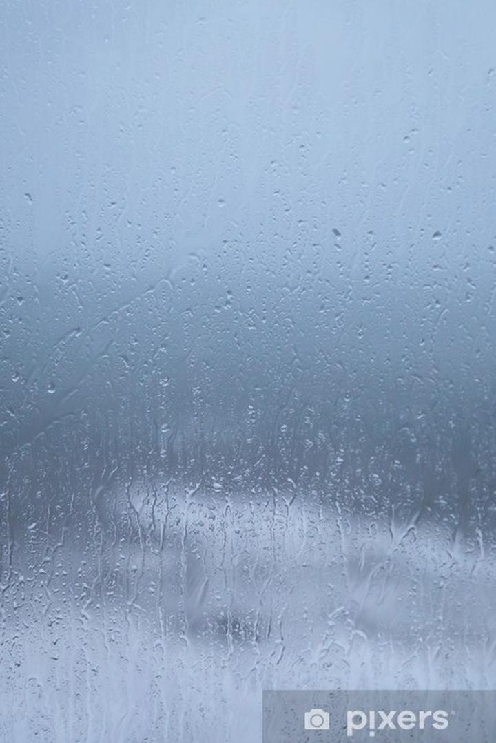 Odkrywanie natury podczas deszczu