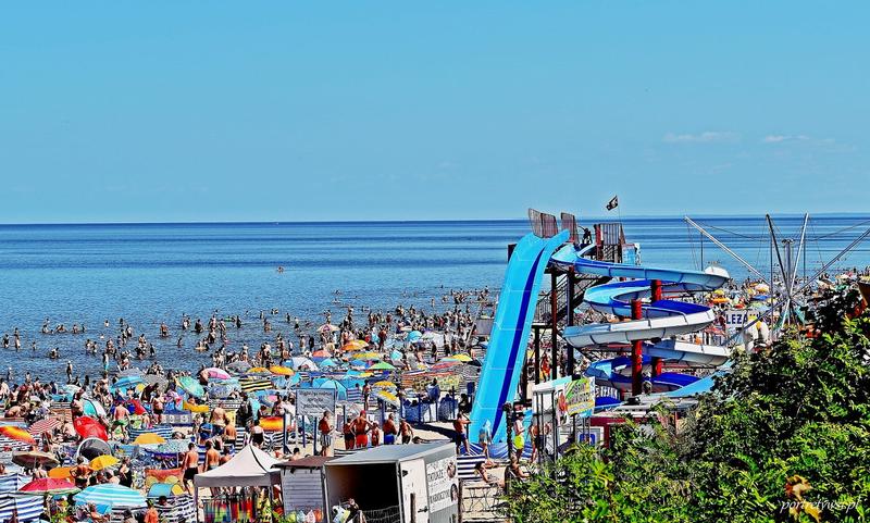 Edukacyjne atrakcje w Stegnie