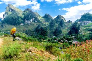 Odkryj magię Wietnamu: Menu Ha Noi w Brzegu w 2026 roku pełne kulinarnych niespodzianek