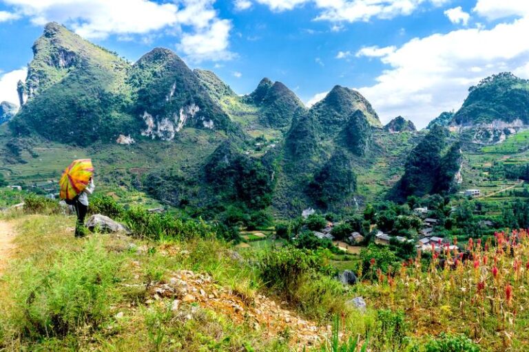 Odkryj magię Wietnamu: Menu Ha Noi w Brzegu w 2026 roku pełne kulinarnych niespodzianek