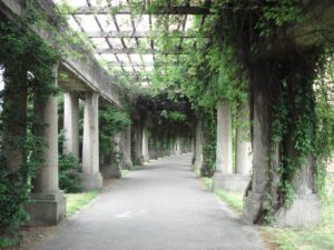 Odkryj, który plac zabaw w Parku Szczytnickim rozbawi Twoje dziecko do łez!