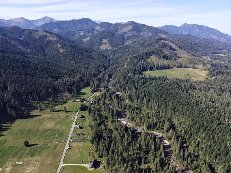 Cztery oblicza Doliny Chochołowskiej: Odkryj jej uroki o każdej porze roku!