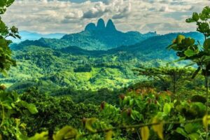 Wiza na Borneo: wszystko, co musisz wiedzieć przed podróżą na tę rajską wyspę