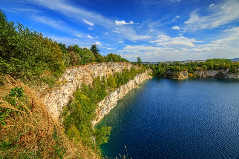 Flora i fauna jurajskich murów