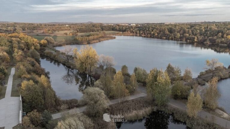 Dlaczego Żabie Doły zachwycają miłośników przyrody? 6 powodów