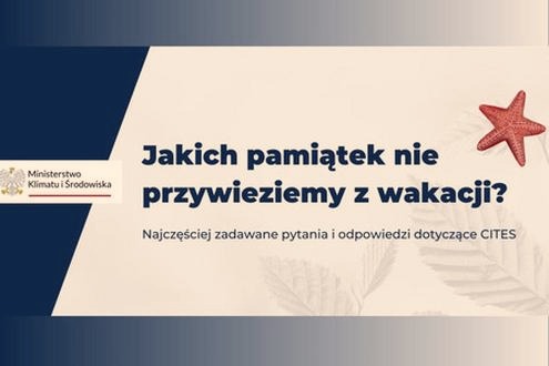 10 niezwykłych pamiątek z egzotycznych podróży – pomysły warte miejsca w walizce