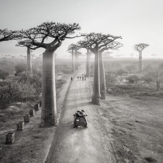 Czas lotu na Madagaskar