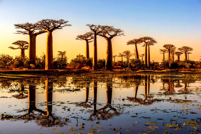 Lot z Polski na Madagaskar