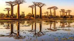 Ile trwa lot z Polski na Madagaskar? Czas podróży i przesiadek