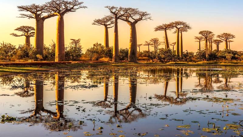 Ile trwa lot z Polski na Madagaskar? Czas podróży i przesiadek