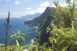Kiedy najlepiej lecieć na Maderę? Pogoda miesiąc po miesiącu