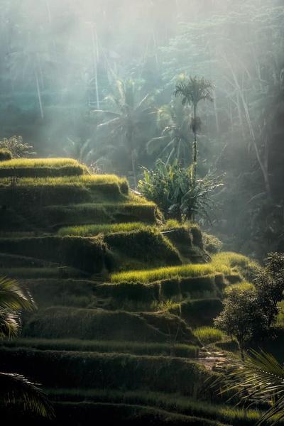 Atrakcje na Bali
