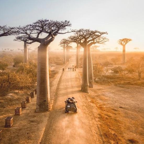 Lot na Madagaskar z Polski – ile kosztuje i jak znaleźć tańszy bilet